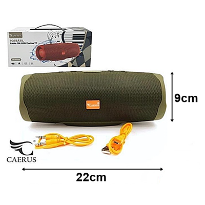 CAIXA DE SOM XTREME CRS-RD6596 CAERUS