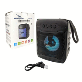 RADIO PORTATIL BLUETOOTH 5.1 USB RADIO FM D-S3148 GRASEP
